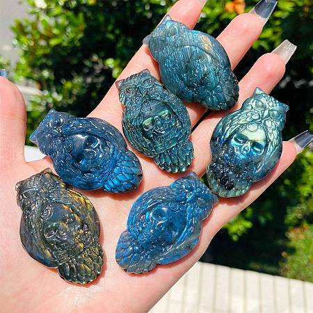 Natural Labradorite Carved Healing Owl with Skull Figurines PW-WG91642-01-1