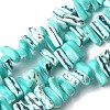 Dyed Natural Trochus Shell Beads Strands SSHEL-C013-09M-1