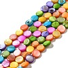 Dyed Natural Freshwater Shell Beads Strands SHEL-G014-01-1
