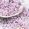 Baking Paint Glass Seed Beads SEED-F005-01A-05-1