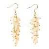 Natural Trochid Shell/Trochus Shell Cluster Earrings EJEW-JE04348-1