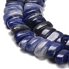 Natural Sodalite Beads Strands G-Q167-B06-01-4