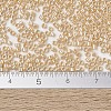 MIYUKI Delica Beads SEED-X0054-DB1561-4