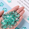 Transparent Acrylic Beads TACR-S154-32B-68-5