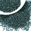 MIYUKI Delica Beads X-SEED-J020-DB0276-1