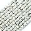 Frosted Natural Howlite Beads Strands G-K389-C17-01-1