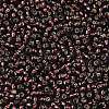 TOHO 8/0 Round Beads X-SEED-TR08-0026C-2