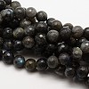 Natural Labradorite Round Bead Strands G-E251-32-8mm-1