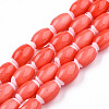 Handmade Lampwork Beads Strands LAMP-N023-004-10-4