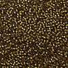 TOHO Round Seed Beads SEED-XTR11-0389-2