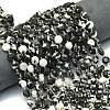Natural Australia Zebra Jasper Beads Strands G-C116-A60-02-1