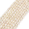 Natural Cultured Freshwater Pearl Beads Strands PEAR-E016-123-1