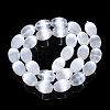 Dyed Natural Selenite Beads Strands G-T138-232A-2