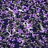 Baking Paint Glass Seed Beads SEED-S042-05B-54-3