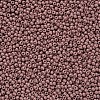 11/0 Grade A Baking Paint Glass Seed Beads X-SEED-N001-A-1047-2