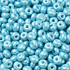 Baking Paint Luster Glass Seed Beads SEED-B001-04A-03-3