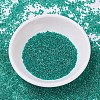 MIYUKI Delica Beads X-SEED-J020-DB0918-2