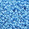 TOHO 6/0 Round Beads SEED-XTR06-0403F-4