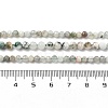 Natural Tree Agate Beads Strands G-RM250104-D6-5
