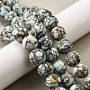 Synthetic Turquoise Beads Strands G-F791-D01-02A-1