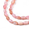Freshwater Shell Beads Strands SHEL-T009-B15-02-3
