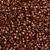 MIYUKI Delica Beads SEED-MY11-DB1736-3