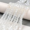 Imitation Jade Electroplate Glass Beads Strands LS-EGLA-A039-J2mm-A05-4