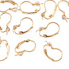 10Pcs Flat Round Brass Glass Leverback Earring Findings KK-TADJ0001-18-3
