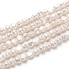 Natural Cultured Freshwater Pearl Beads Strands PEAR-N014-04B-1