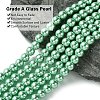 Eco-Friendly Dyed Glass Pearl Beads Strands HY-A008-6mm-RB108-3