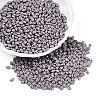 Baking Paint Glass Seed Beads SEED-T006-03Z-3