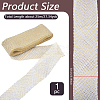 Polyester Ribbons SRIB-WH0011-228A-2