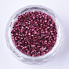 Glass Cylinder Beads SEED-Q036-01A-C08-2