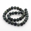 Frosted Natural Kambaba Jasper Beads Strands G-M272-14-8mm-2