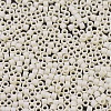 MIYUKI Delica Beads SEED-X0054-DB0883-3