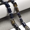 Natural Lapis Lazuli Beads Strands G-K245-I21-01-2