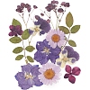 Pressed Dried Flowers DIY-YWC0001-102-1