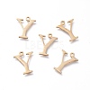 304 Stainless Steel Charms STAS-L263-19G-1