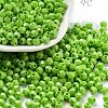 Baking Paint Glass Seed Beads SEED-A032-02A-1