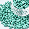 6/0 Glass Seed Beads SEED-S058-A-F439-1
