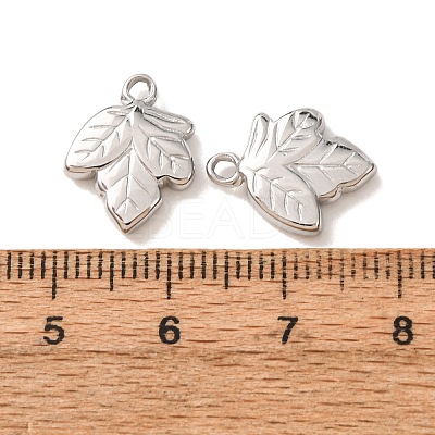 201 Stainless Steel Charms SA-CBA17F1-11P-C-1