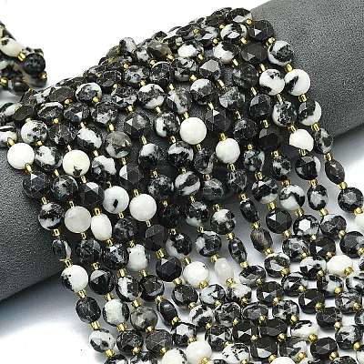 Natural Australia Zebra Jasper Beads Strands G-C116-A60-02-1