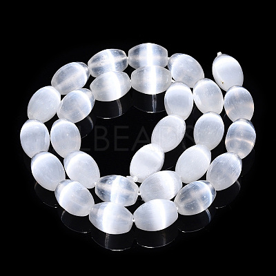Dyed Natural Selenite Beads Strands G-T138-232A-1