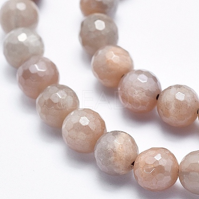 Electroplate Natural Sunstone Beads Strands G-K256-17-8mm-1