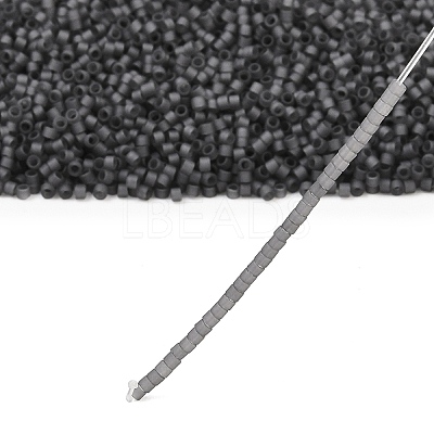 MIYUKI Delica Beads SEED-X0054-DB2406-1