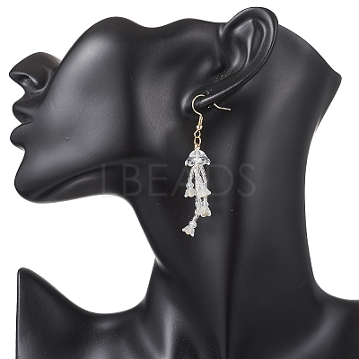 Glass Seed & Glass Beaded Dangle Earrings EJEW-MZ00687-02-1
