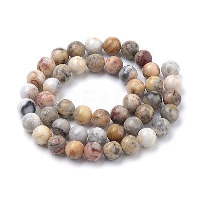 Natural Crazy Lace Agate Round Bead Strands X-G-E334-6mm-20-1