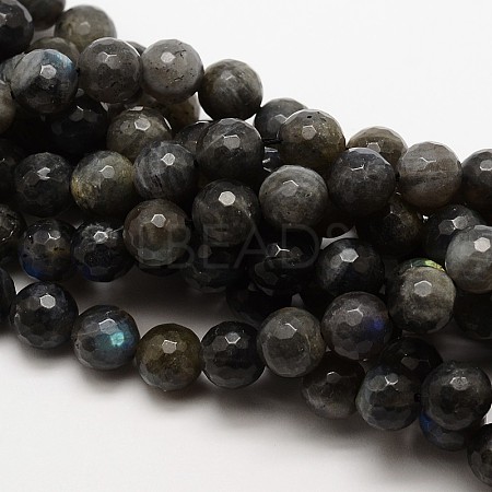 Natural Labradorite Round Bead Strands G-E251-32-8mm-1