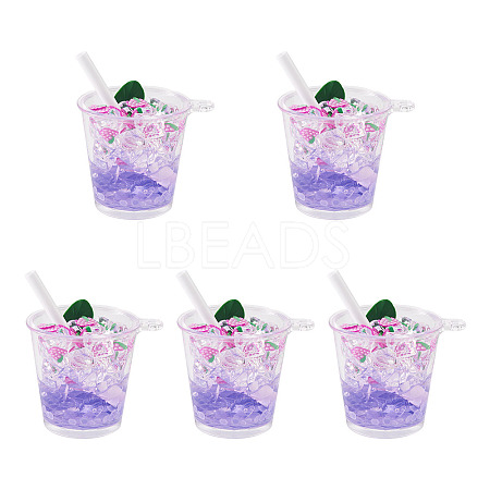 Transparent Resin Big Pendants RESI-TAC0019-04D-1
