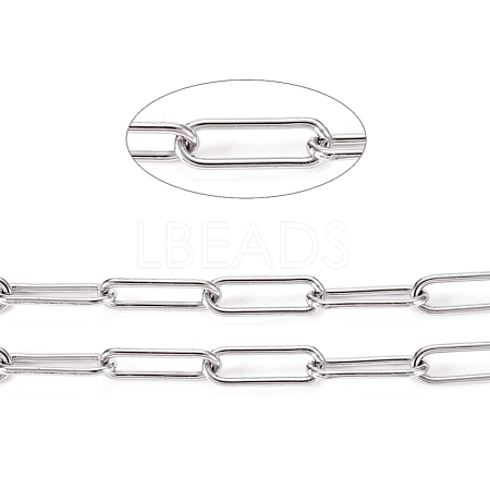 Non-Tarnish 3.28 Feet 304 Stainless Steel Paperclip Chains X-CHS-L022-02P-1